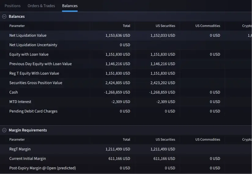 IBKR Desktop Porfolio Balances